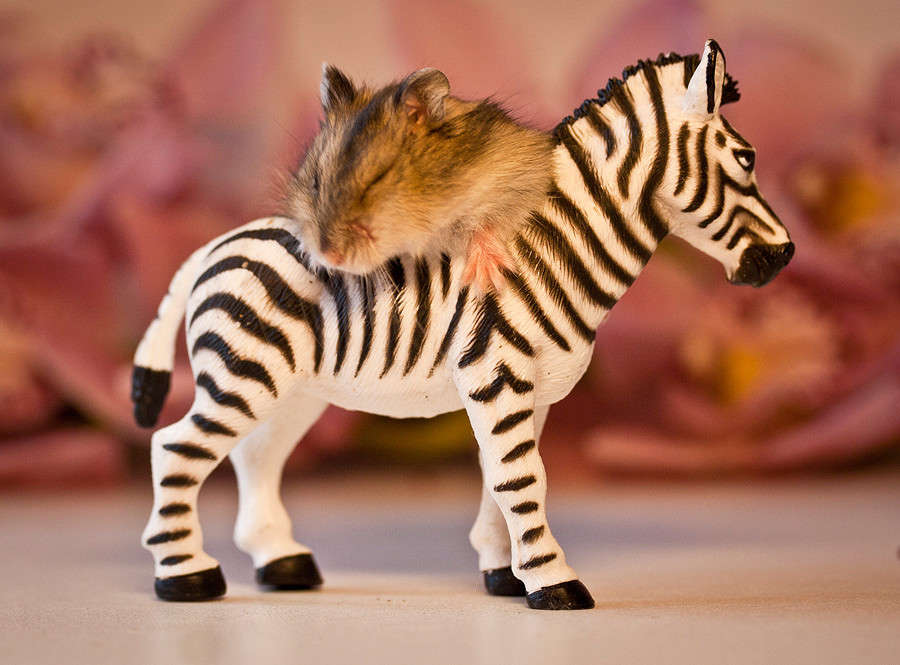 �� ��������� ��! ����� �������  �� PhotoGeek.ru #�������� ��� #�������� ����������