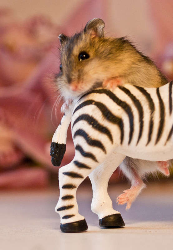 �������2 ����� �������  �� PhotoGeek.ru #�������� ��� #�������� ����������