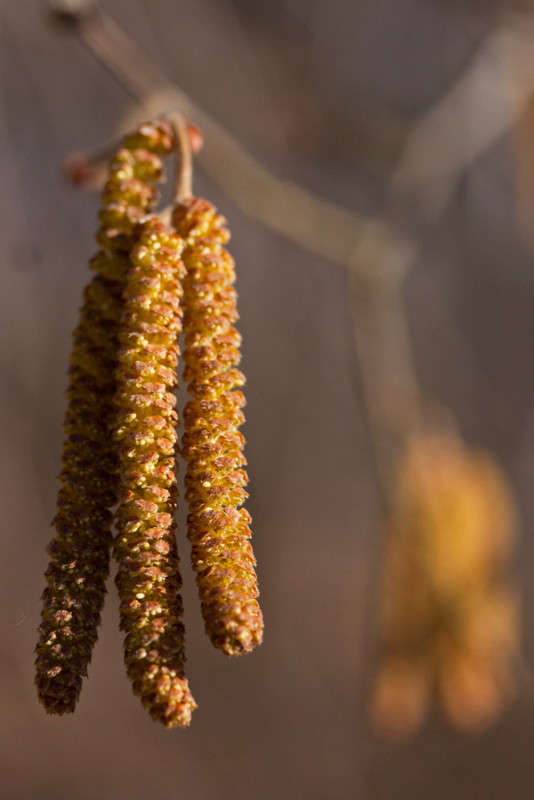 ������� ����� �������  �� PhotoGeek.ru #������ ��� ������� #����� ��������������