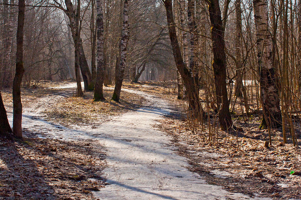 ����� ����� �������  �� PhotoGeek.ru #������ ��� �������