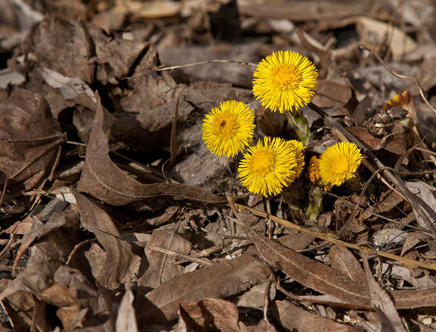 ����� ����� �������  �� PhotoGeek.ru #������ ��� ������� #����� ��������������