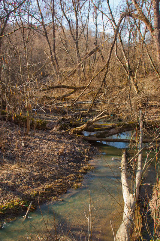 ����� ����� �������  �� PhotoGeek.ru #������ ��� �������