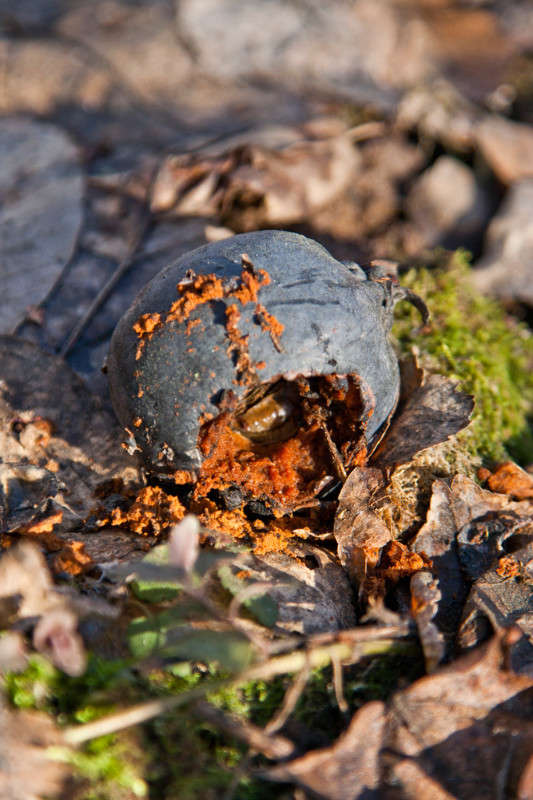 ������������ ������ ����� �������  �� PhotoGeek.ru #������ ��� �������