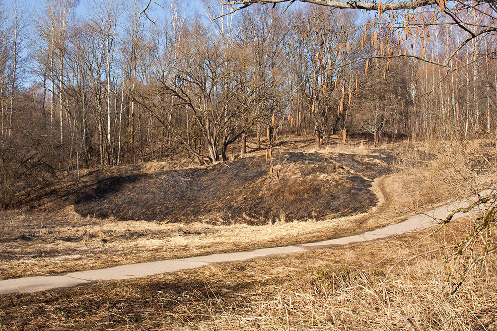 ����� ����� �������  �� PhotoGeek.ru #������ ��� �������