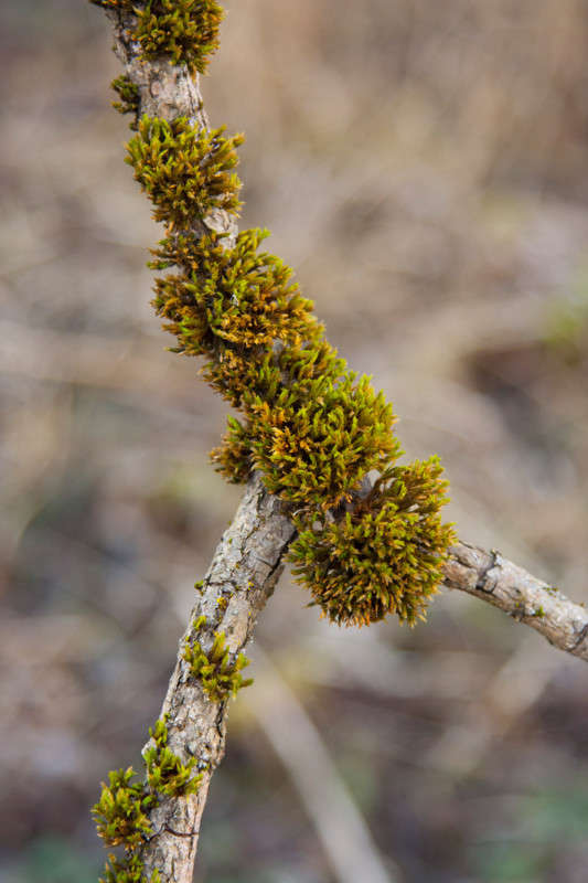 � ���� ����� �������  �� PhotoGeek.ru #������ ��� ������� #����� ��������������