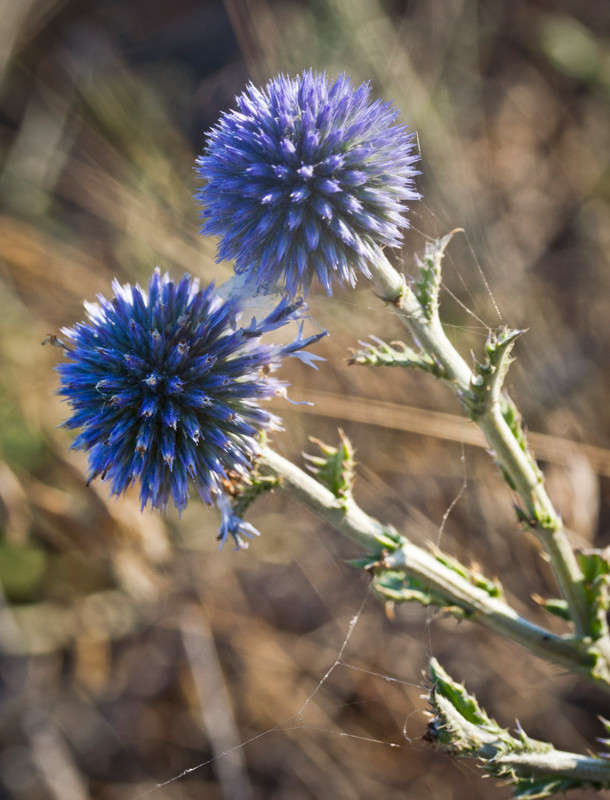 ��������� ����� �������  �� PhotoGeek.ru #������ ��� ������� #����� ��������������