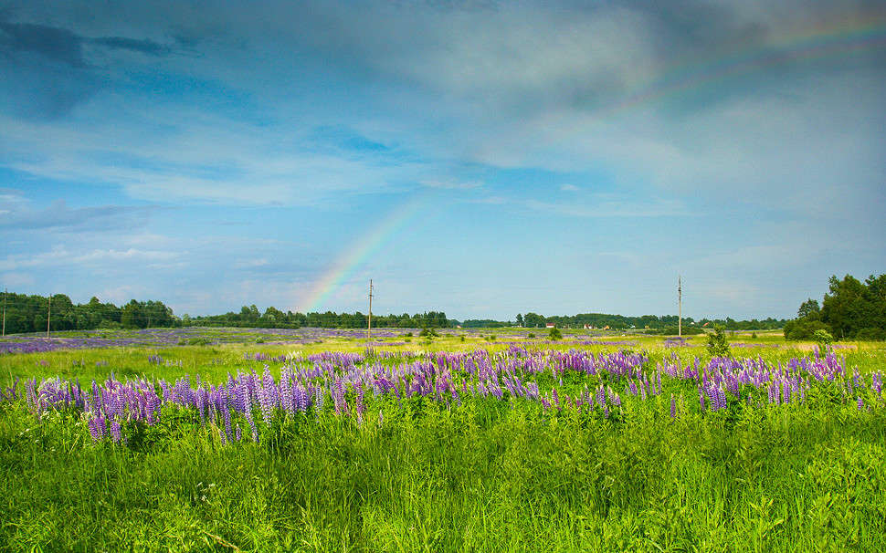 ������ ����� �������  �� PhotoGeek.ru #������ ��� �������