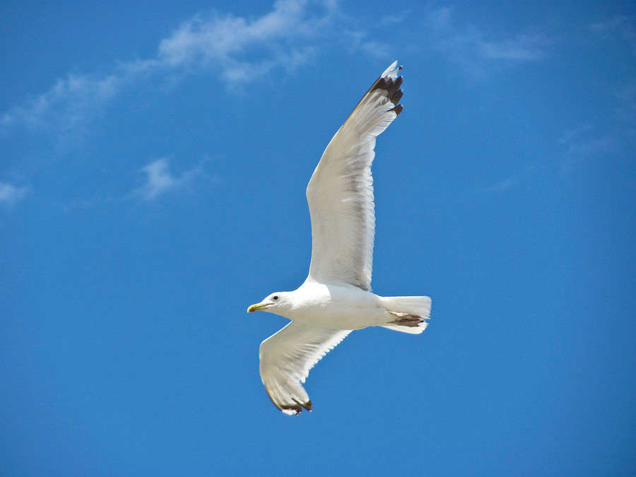 ����� ����� �������  �� PhotoGeek.ru #�������� ���