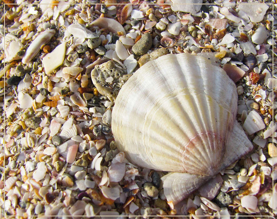 �� ������� ������� ����� �������  �� PhotoGeek.ru #����� #������ ��� �������