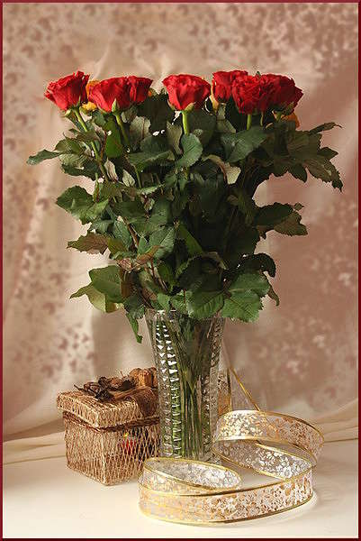 ����� ����� �������  �� PhotoGeek.ru #���������