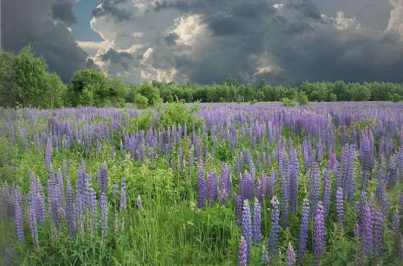 �������� ������ ����� �������  �� PhotoGeek.ru #������ ��� �������