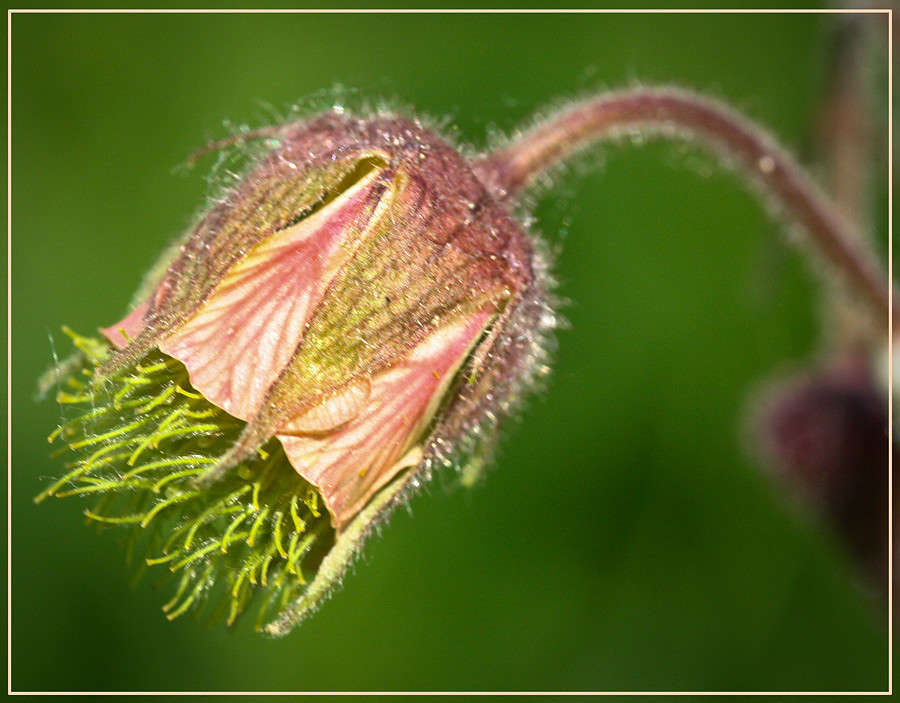 ... ����� �������  �� PhotoGeek.ru #������ ��� ������� #����� ��������������