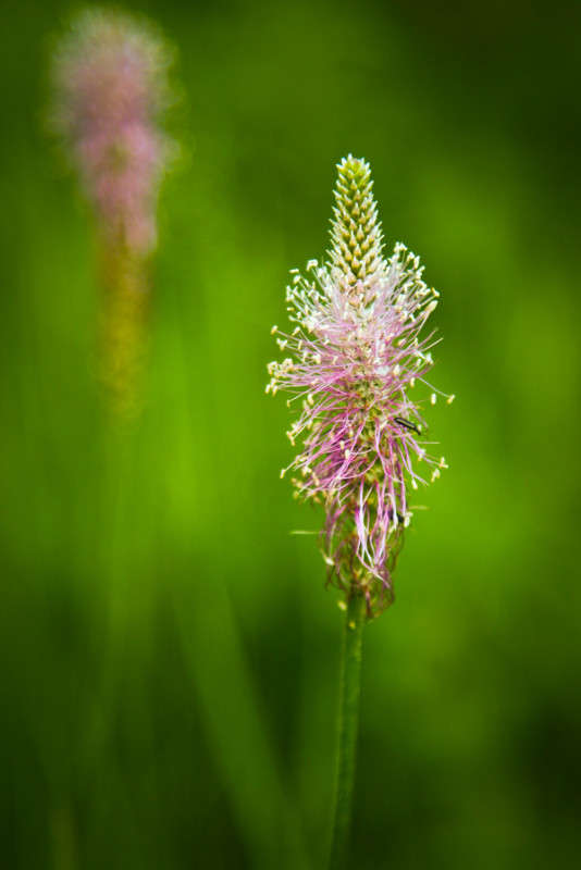 ... ����� �������  �� PhotoGeek.ru #������ ��� ������� #����� ��������������