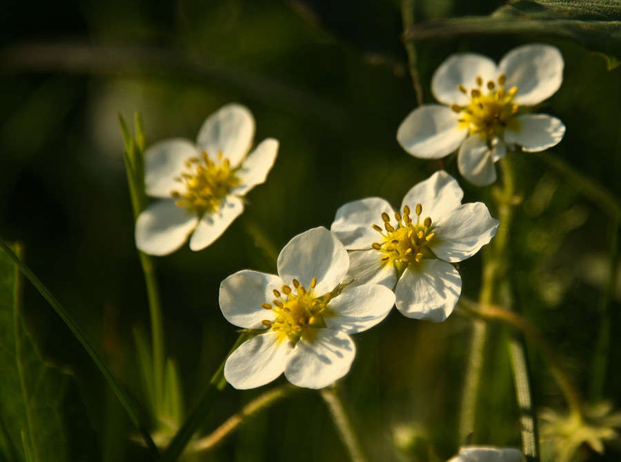 ... ����� �������  �� PhotoGeek.ru #������ ��� ������� #����� ��������������