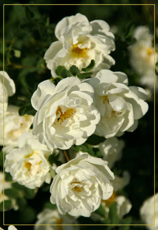 ... ����� �������  �� PhotoGeek.ru #������ ��� ������� #����� ��������������