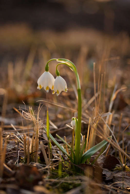 ���������� ����� �������  �� PhotoGeek.ru #������ ��� ������� #����� ��������������