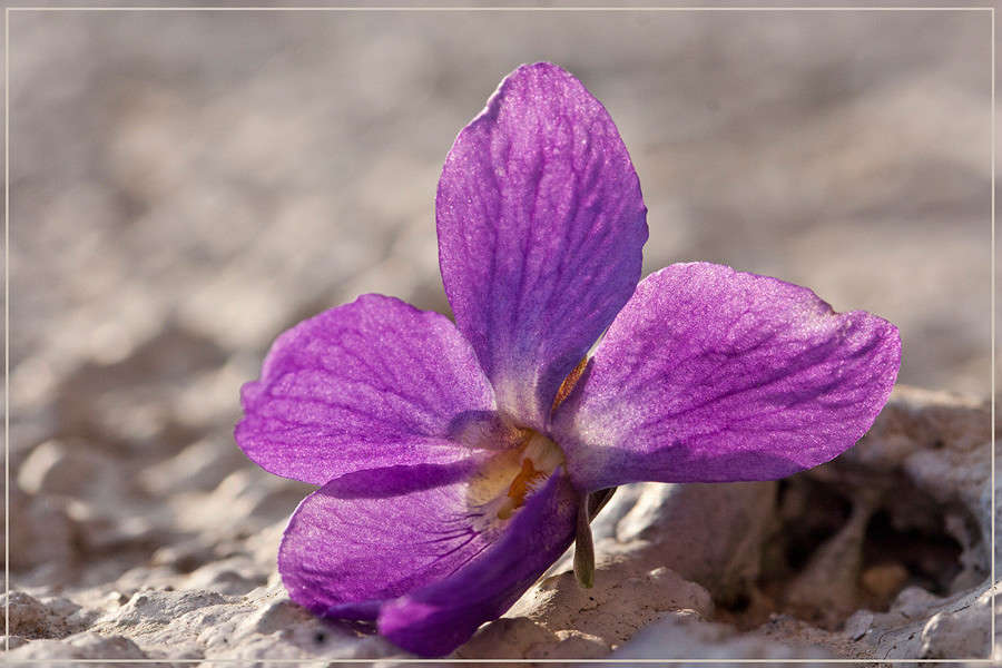 ... ����� �������  �� PhotoGeek.ru #������ ��� ������� #����� ��������������