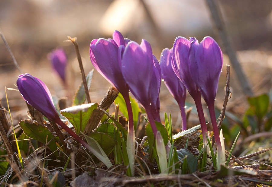 ����� � ������� ����� �������  �� PhotoGeek.ru #������ ��� �������