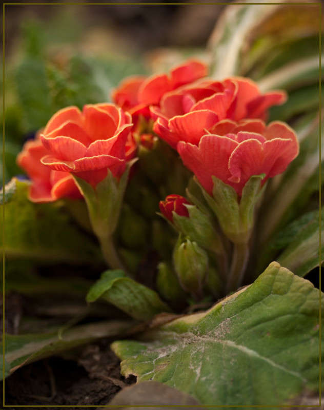 ������� ����� �������  �� PhotoGeek.ru #������ ��� ������� #����� ��������������