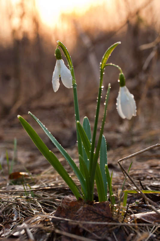 ... ����� �������  �� PhotoGeek.ru #������ ��� ������� #����� ��������������