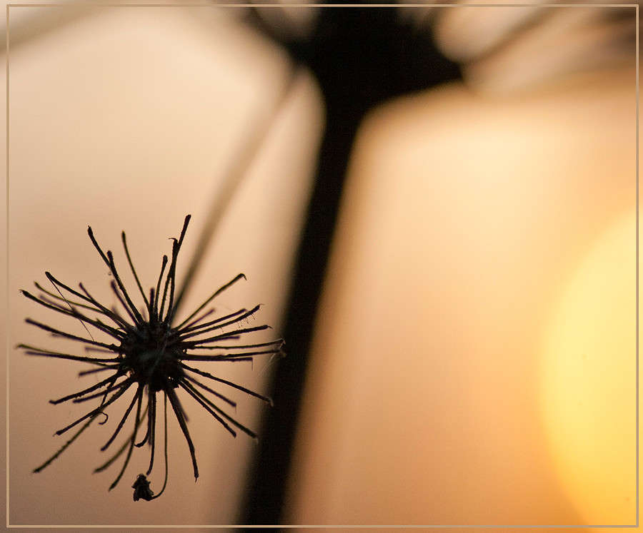 ... ����� �������  �� PhotoGeek.ru #������ ��� ������� #����� ��������������