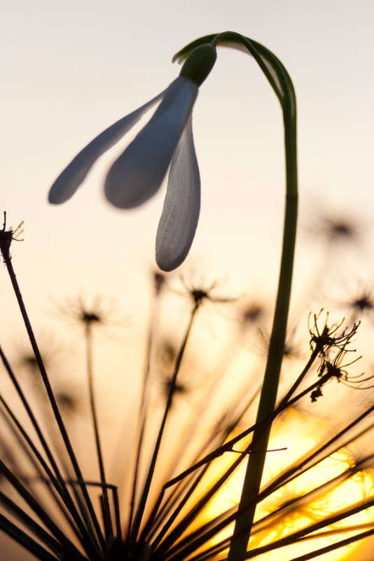 ... ����� �������  �� PhotoGeek.ru #������ ��� ������� #���������