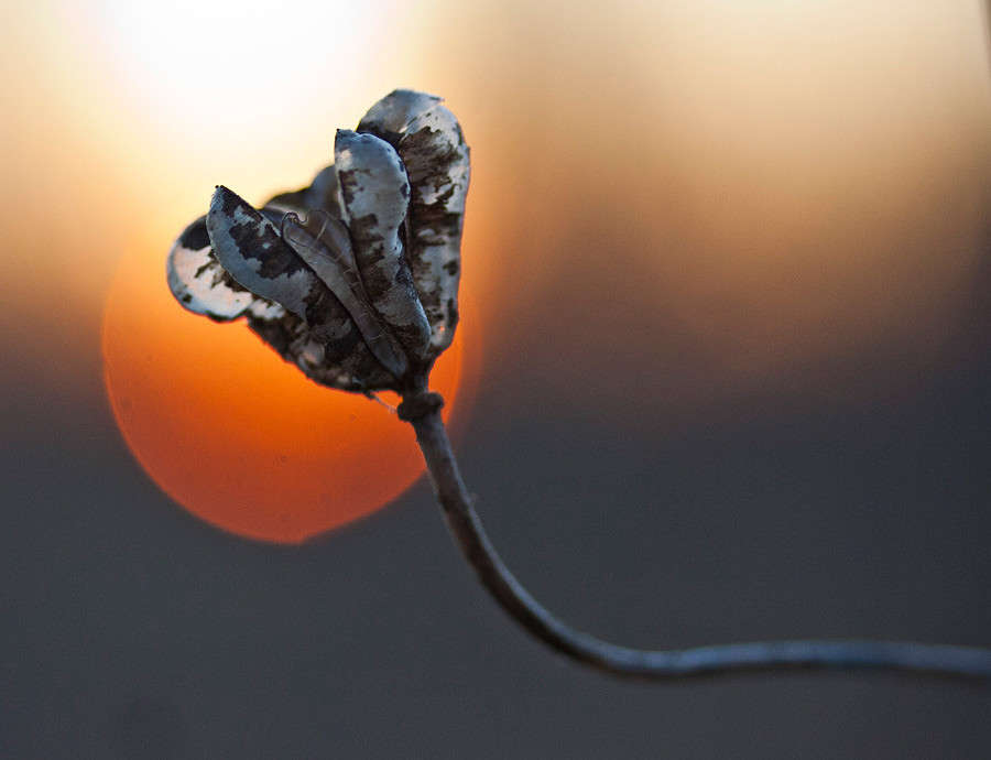 ... ����� �������  �� PhotoGeek.ru #������ ��� ������� #���������