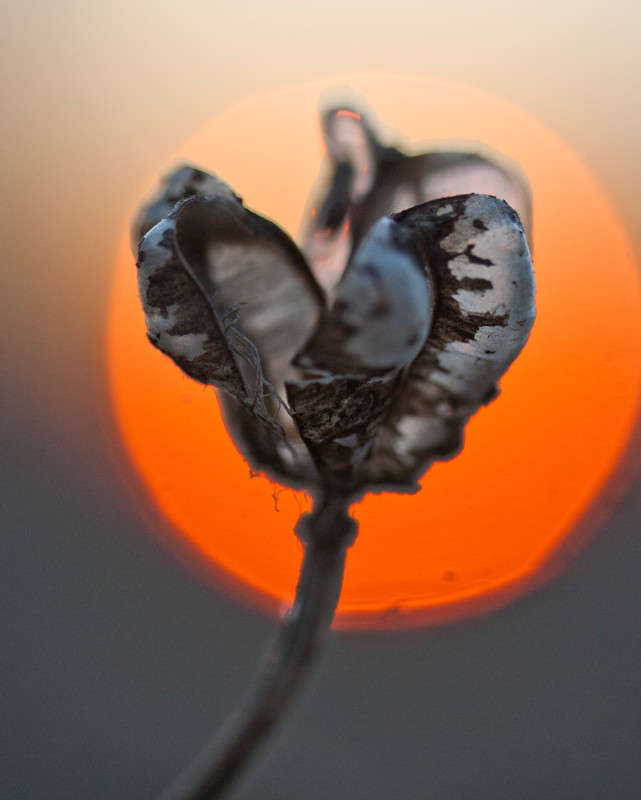 ... ����� �������  �� PhotoGeek.ru #������ ��� ������� #���������