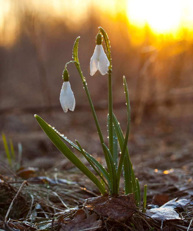 ... ����� �������  �� PhotoGeek.ru #������ ��� ������� #����� ��������������