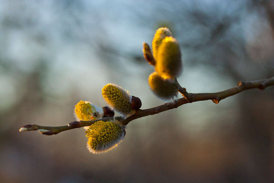 ... ����� �������  �� PhotoGeek.ru #������ ��� ������� #����� �������������� #���������