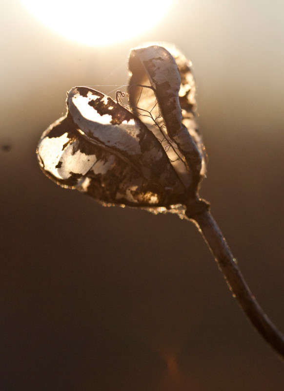 ... ����� �������  �� PhotoGeek.ru #������ ��� ������� #���������