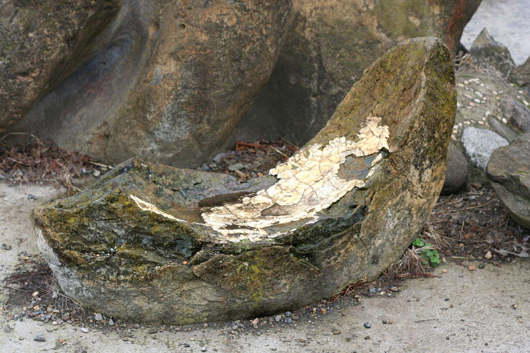 ... ����� �������  �� PhotoGeek.ru #������ ��� �������