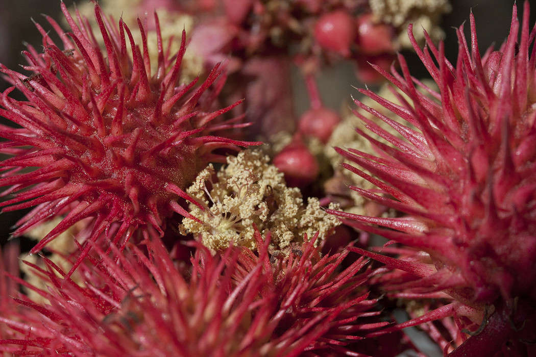 ������ ����� �������  �� PhotoGeek.ru #������ ��� ������� #����� ��������������