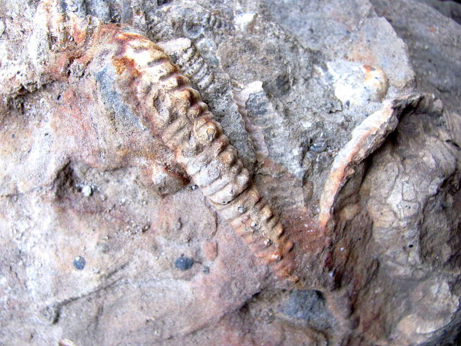 ������������ ����� �������  �� PhotoGeek.ru #������ ��� �������