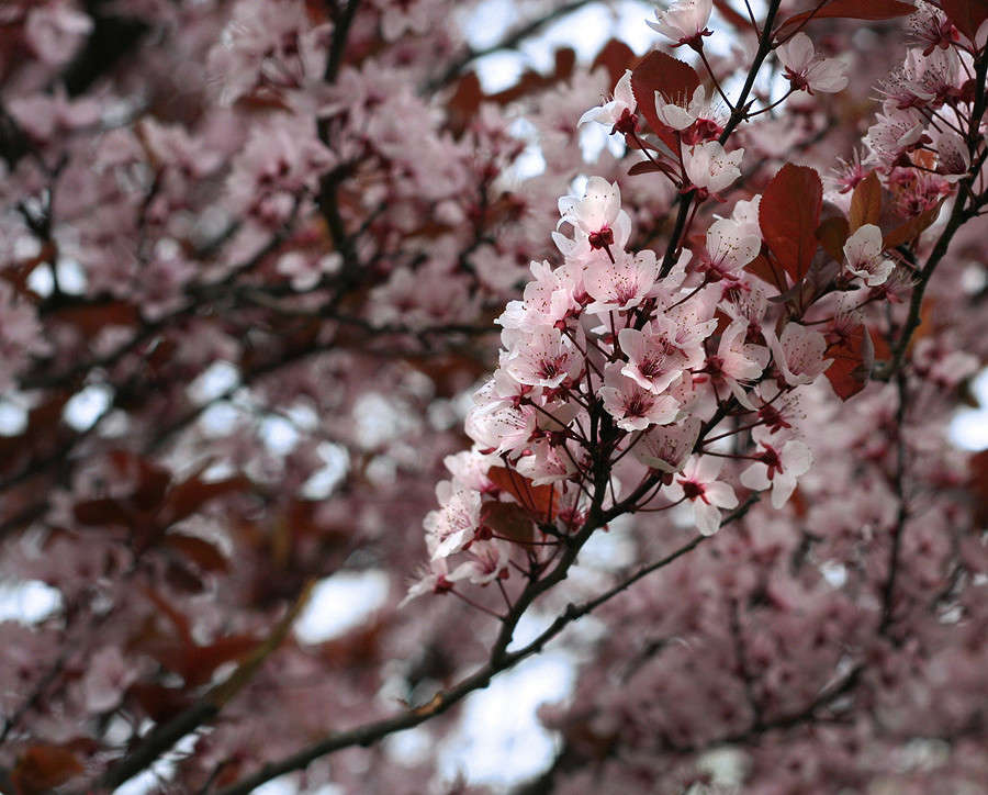 ����� ����� �������  �� PhotoGeek.ru #������ ��� �������