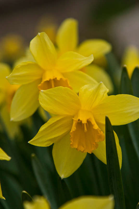 ����� �� ���� ����� �������  �� PhotoGeek.ru #������ ��� ������� #����� ��������������