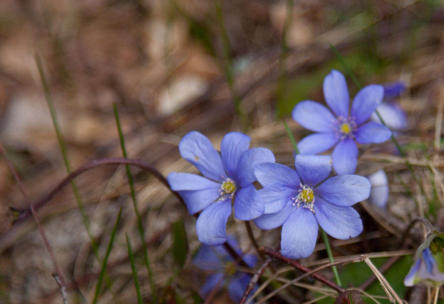 ����� � ���� ����� �������  �� PhotoGeek.ru #������ ��� ������� #����� ��������������