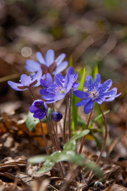 ����� ����� �������  �� PhotoGeek.ru #������ ��� ������� #����� ��������������