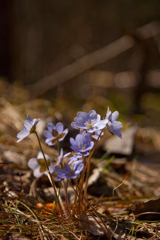 � ���� ����� �������  �� PhotoGeek.ru #������ ��� ������� #����� ��������������