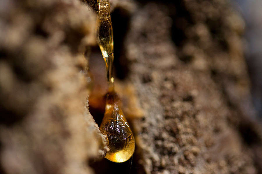 ����� ����� �������  �� PhotoGeek.ru #������ ��� �������