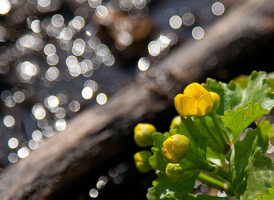 � ���� ����� �������  �� PhotoGeek.ru #������ ��� ������� #����� ��������������