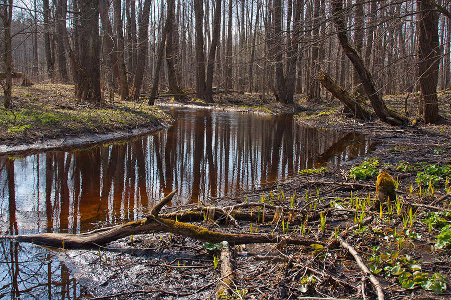 ����� ����� �������  �� PhotoGeek.ru #������ ��� �������