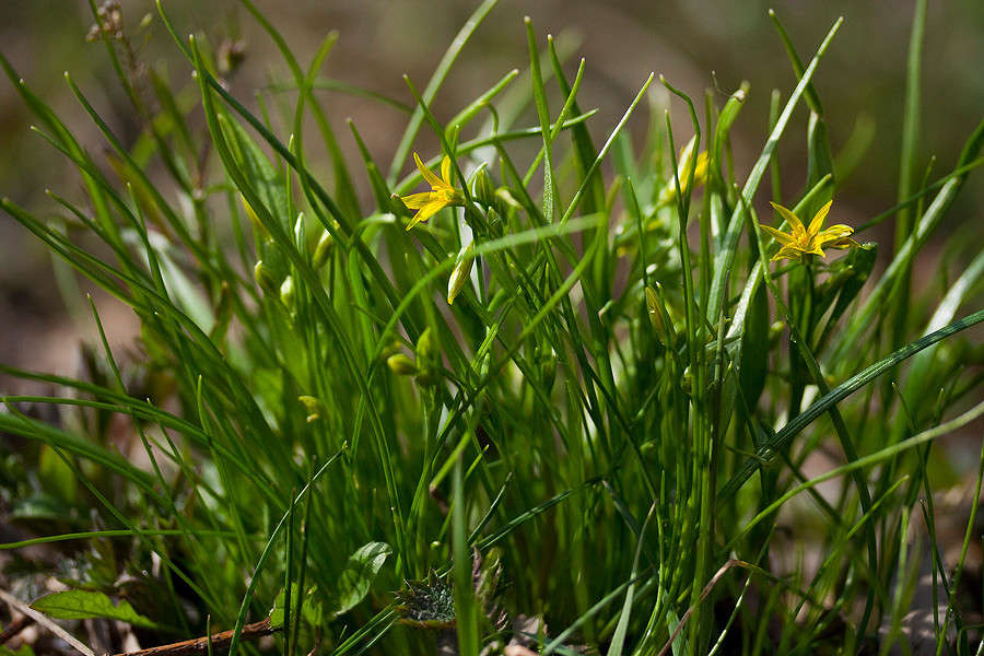 ������ ��������... ����� �������  �� PhotoGeek.ru #������ ��� ������� #����� ��������������