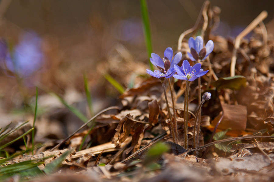 �������� ����� �������  �� PhotoGeek.ru #������ ��� �������