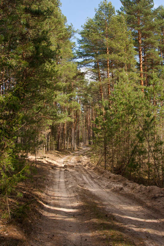 ����� ����� �������  �� PhotoGeek.ru #������ ��� �������