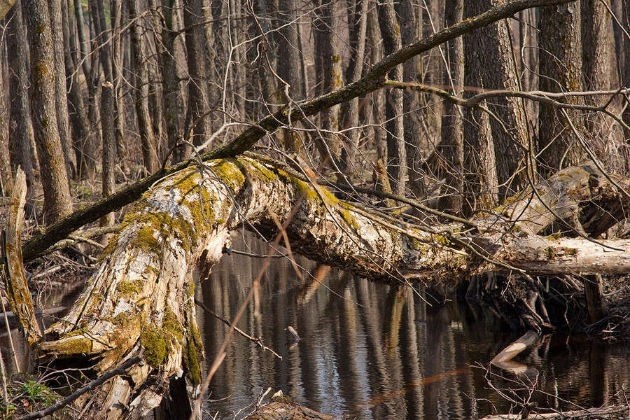 � ���� ����� �������  �� PhotoGeek.ru #������ ��� �������