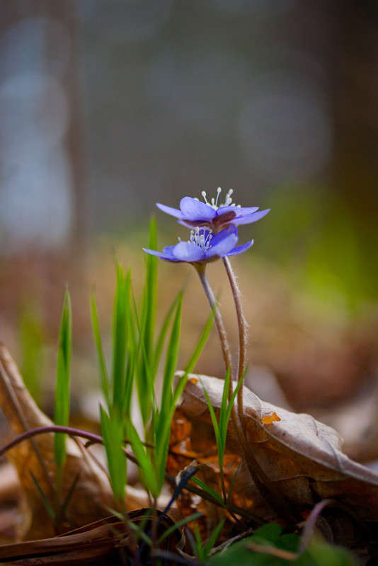 ��� �����! ����� �������  �� PhotoGeek.ru #������ ��� ������� #����� ��������������