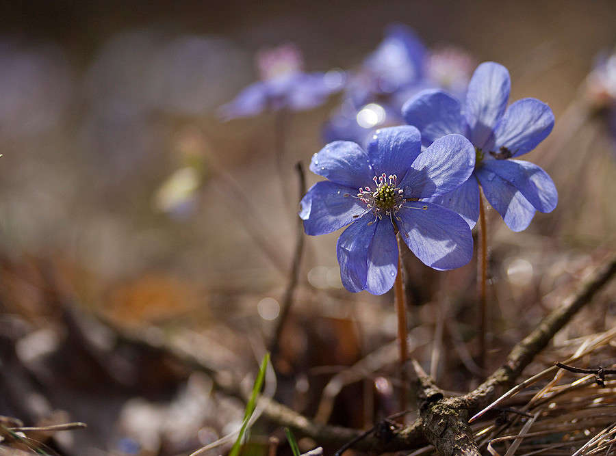 ����� ����� �������  �� PhotoGeek.ru #������ ��� ������� #����� ��������������