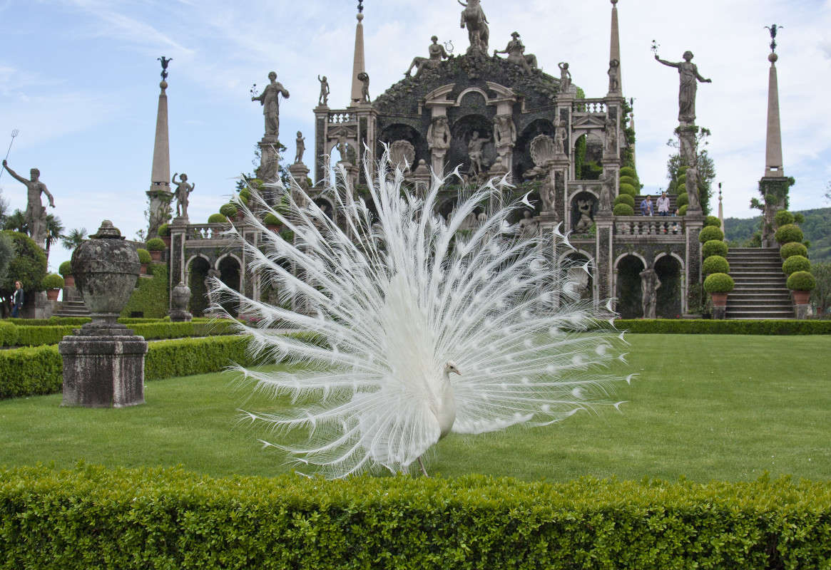 ... ����� �������  �� PhotoGeek.ru #�������� ���