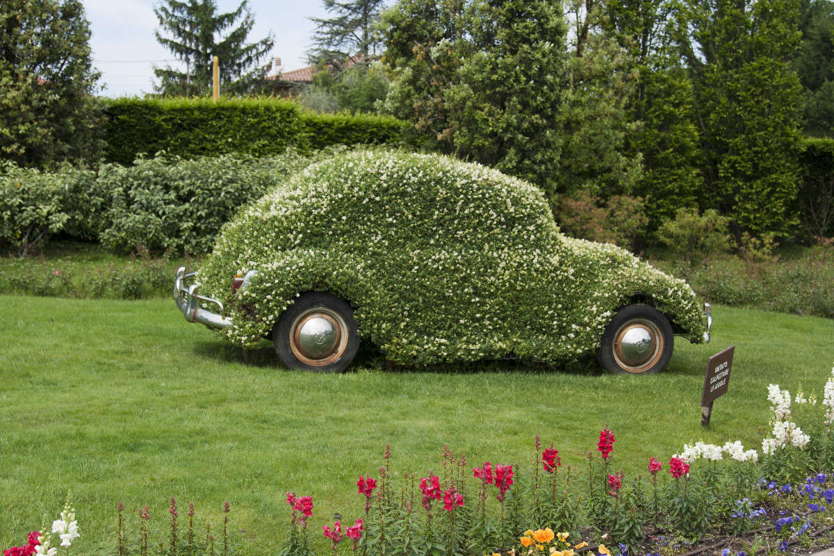 �������� ����� �������  �� PhotoGeek.ru #������ ��� �������